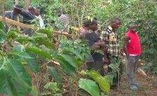 Mukurweini girl raped and murdered