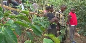 NYERI: Five year old girl raped and beheaded
